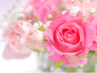 アスタリフトの香りダマスクローズの効果 アスタリフトジェリー